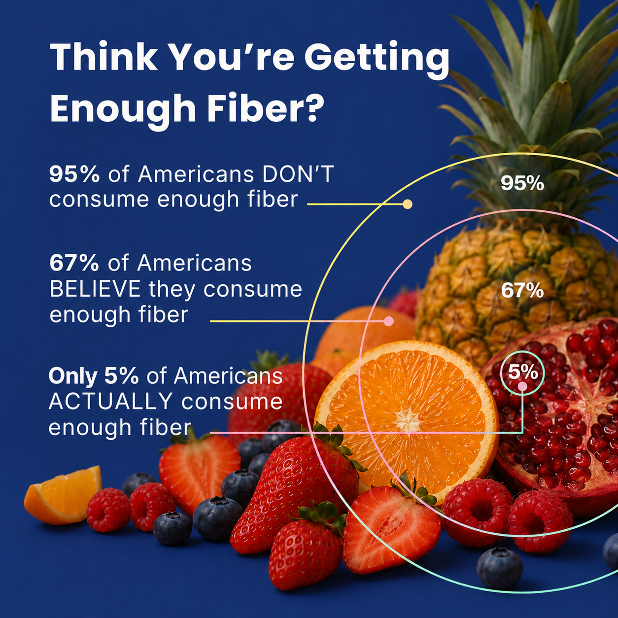 Berry Blisss Fiber+ Drink Mix | Blueberry Pomegranate, 6g Fiber, 16 Servings