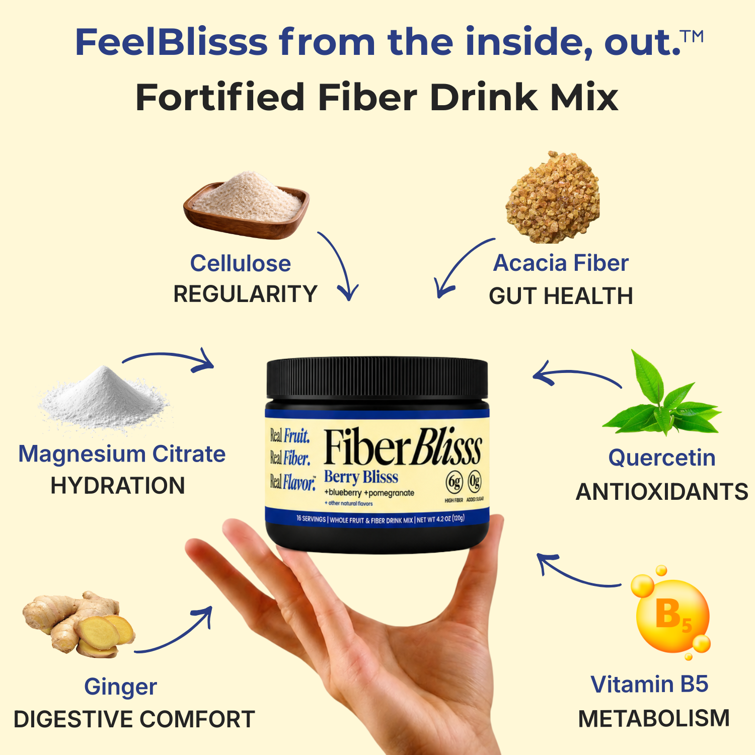 Berry Blisss Fiber+ Drink Mix | Blueberry Pomegranate, 6g Fiber, 16 Servings
