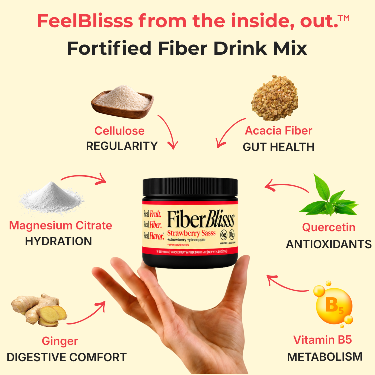 Strawberry Sasss Fiber+ Drink Mix | Strawberry Pineapple, 6g Fiber, 16 Servings